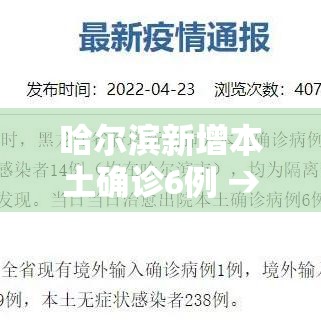 哈尔滨新增本土确诊6例 → 哈尔滨新增本土确诊6例是哪里的