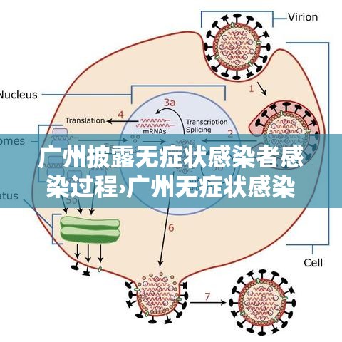 广州披露无症状感染者感染过程›广州无症状感染者轨迹 广州披露无症状感染者感染过程›广州无症状感染者轨迹