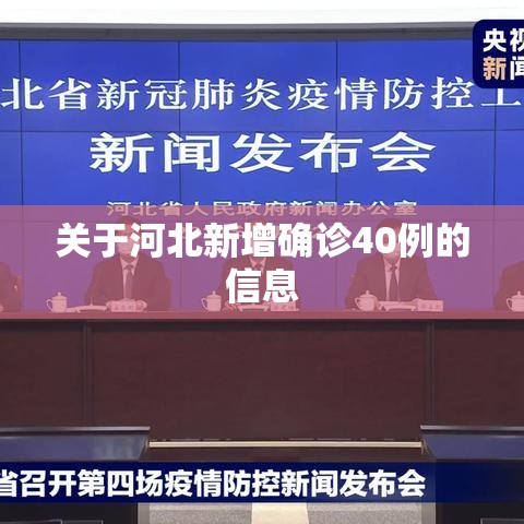 关于河北新增确诊40例的信息