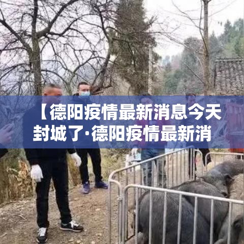 【德阳疫情最新消息今天封城了·德阳疫情最新消息今天封城了没】 【德阳疫情最新消息今天封城了·德阳疫情最新消息今天封城了没】