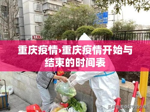 重庆疫情›重庆疫情开始与结束的时间表 重庆疫情›重庆疫情开始与结束的时间表