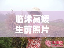 临沭高媛生前照片：临沭高媛男友是谁