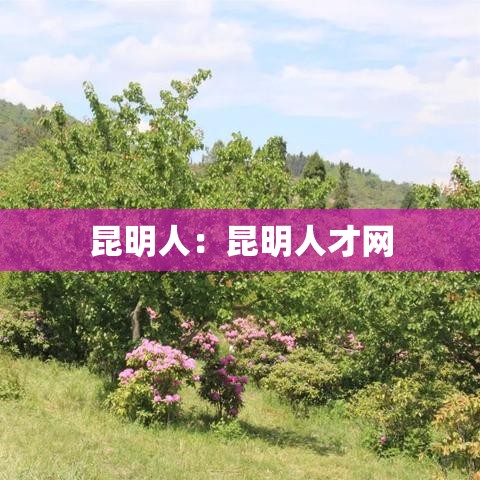 昆明人：昆明人才网