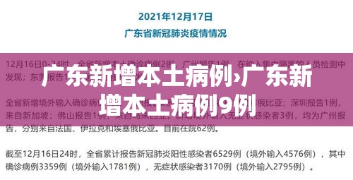 广东新增本土病例›广东新增本土病例9例