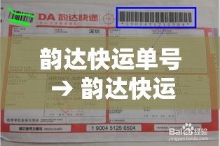 韵达快运单号 → 韵达快运单号物流追踪查询 韵达快运单号 → 韵达快运单号物流追踪查询