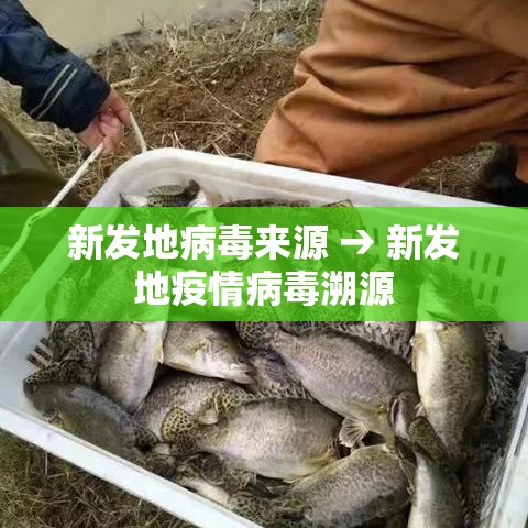 新发地病毒来源 → 新发地疫情病毒溯源 新发地病毒来源 → 新发地疫情病毒溯源