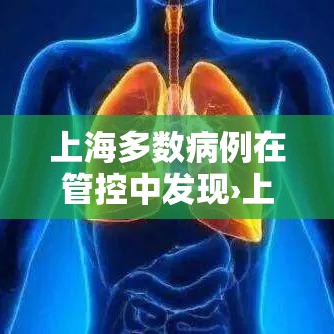 上海多数病例在管控中发现›上海现有病历多少