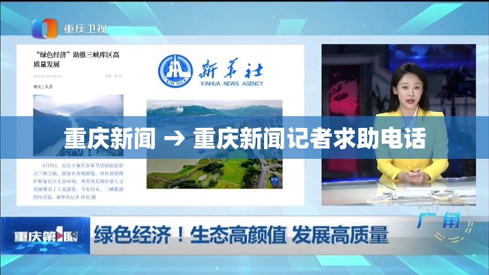 重庆新闻 → 重庆新闻记者求助电话