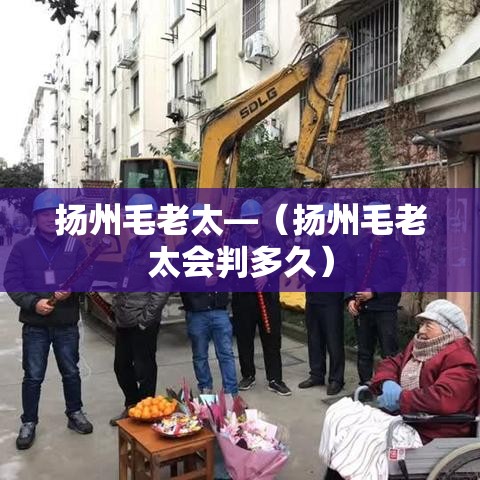 扬州毛老太—（扬州毛老太会判多久）