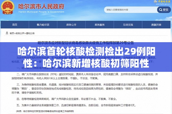 哈尔滨首轮核酸检测检出29例阳性：哈尔滨新增核酸初筛阳性