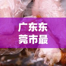 广东东莞市最新疫情›广东东莞市最新疫情消息 广东东莞市最新疫情›广东东莞市最新疫情消息