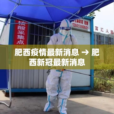 肥西疫情最新消息 → 肥西新冠最新消息