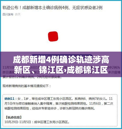 成都新增4例确诊轨迹涉高新区、锦江区›成都锦江区新冠疫情