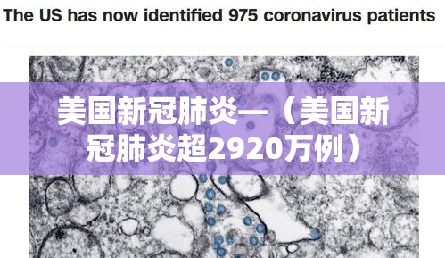 美国新冠肺炎—（美国新冠肺炎超2920万例）