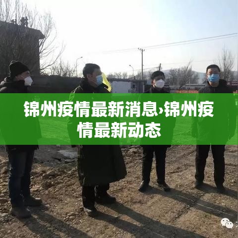 锦州疫情最新消息›锦州疫情最新动态