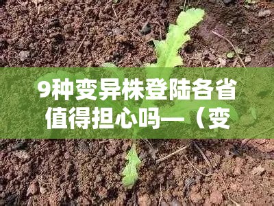 9种变异株登陆各省值得担心吗—（变异株的危害）