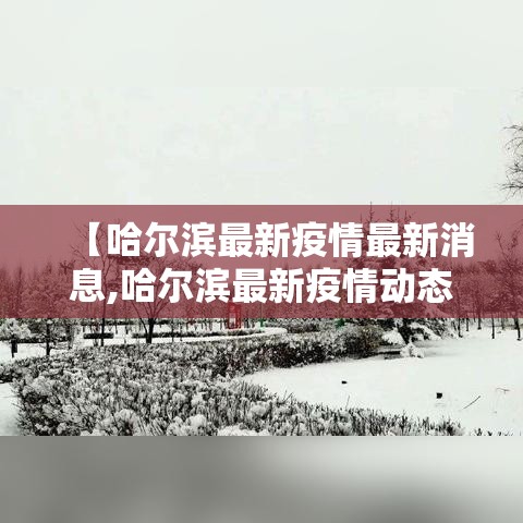 【哈尔滨最新疫情最新消息,哈尔滨最新疫情动态】