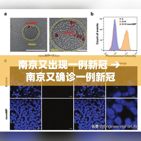南京又出现一例新冠 → 南京又确诊一例新冠