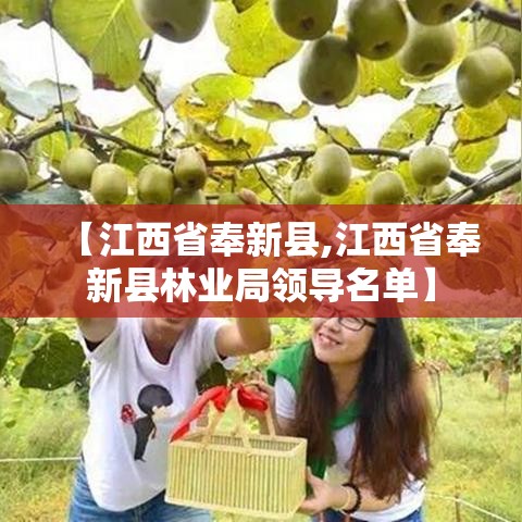 【江西省奉新县,江西省奉新县林业局领导名单】