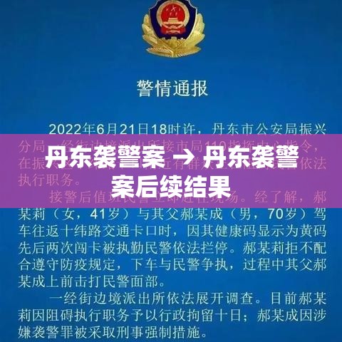 丹东袭警案 → 丹东袭警案后续结果