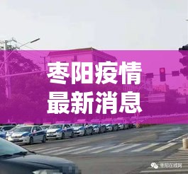 枣阳疫情最新消息今天—（枣阳新型冠状病毒最新消息）