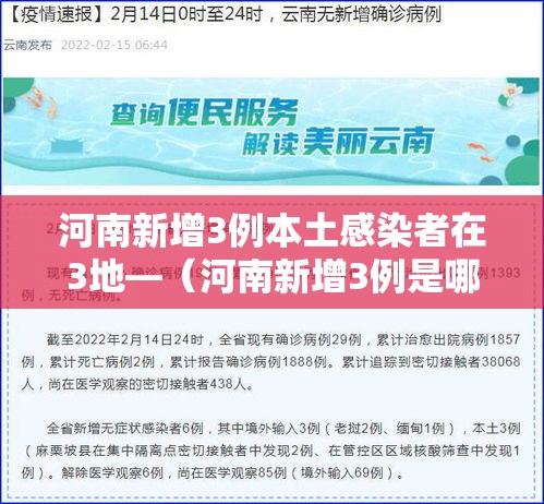 河南新增3例本土感染者在3地—（河南新增3例是哪里的）