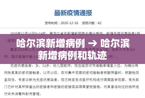 哈尔滨新增病例 → 哈尔滨新增病例和轨迹