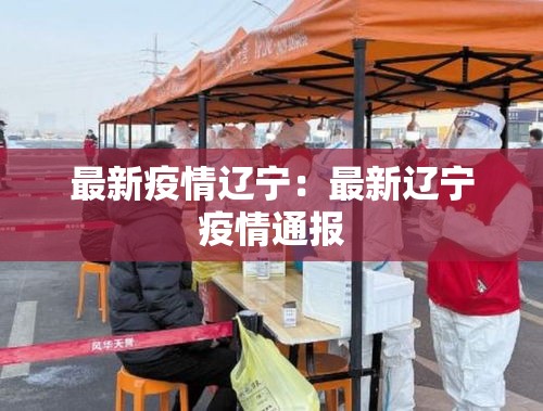 最新疫情辽宁：最新辽宁疫情通报