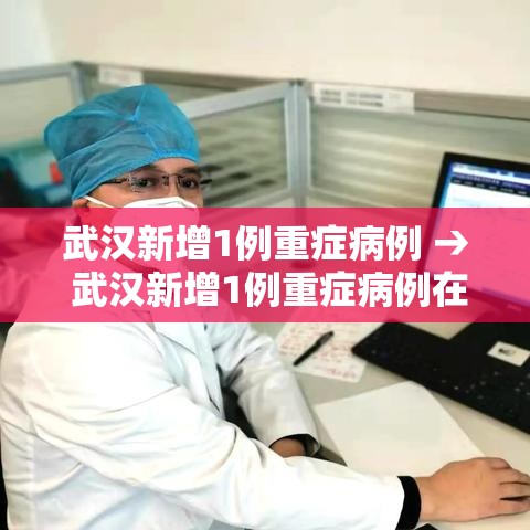 武汉新增1例重症病例 → 武汉新增1例重症病例在哪里