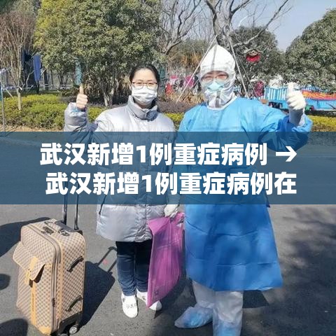 武汉新增1例重症病例 → 武汉新增1例重症病例在哪里