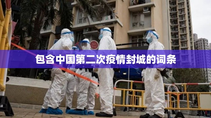 包含中国第二次疫情封城的词条