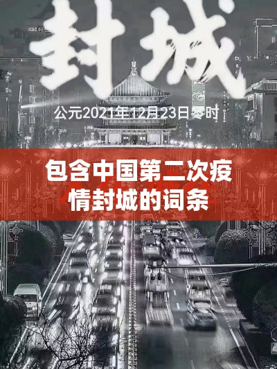 包含中国第二次疫情封城的词条