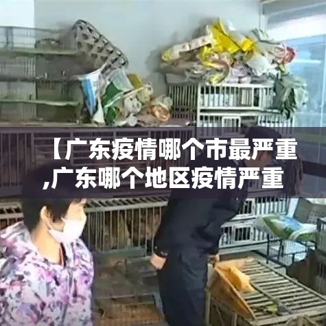 【广东疫情哪个市最严重,广东哪个地区疫情严重】 【广东疫情哪个市最严重,广东哪个地区疫情严重】