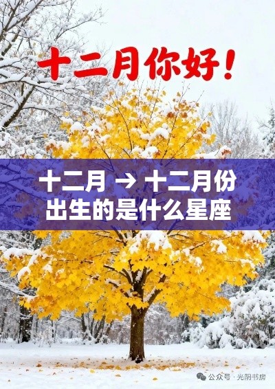 十二月 → 十二月份出生的是什么星座