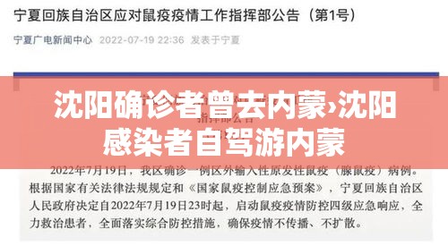 沈阳确诊者曾去内蒙›沈阳感染者自驾游内蒙