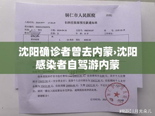沈阳确诊者曾去内蒙›沈阳感染者自驾游内蒙