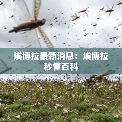 埃博拉最新消息：埃博拉秒懂百科