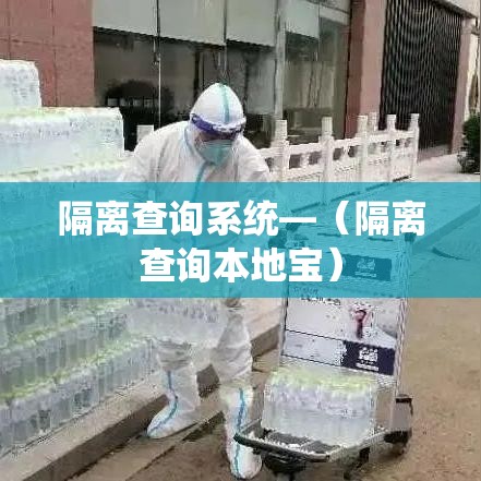 隔离查询系统—（隔离查询本地宝）