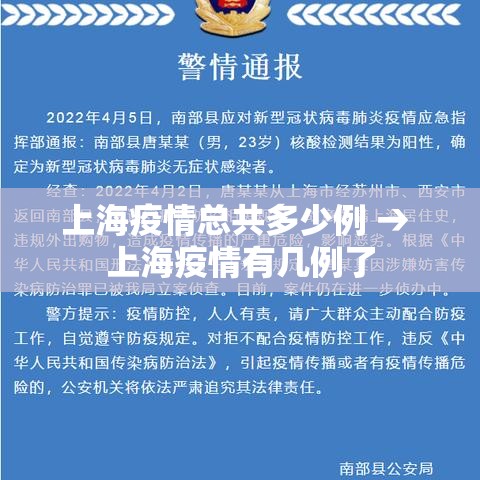 上海疫情总共多少例 → 上海疫情有几例了