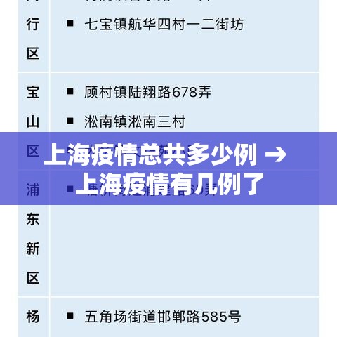 上海疫情总共多少例 → 上海疫情有几例了