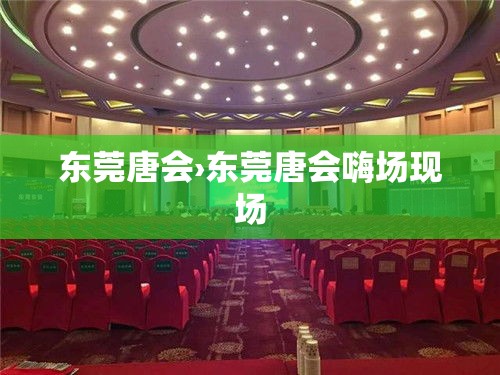 东莞唐会›东莞唐会嗨场现场