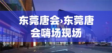 东莞唐会›东莞唐会嗨场现场