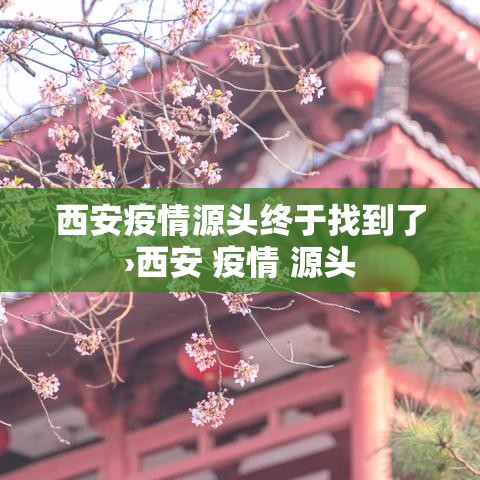 西安疫情源头终于找到了›西安 疫情 源头