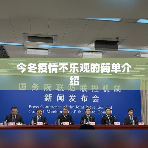 今冬疫情不乐观的简单介绍