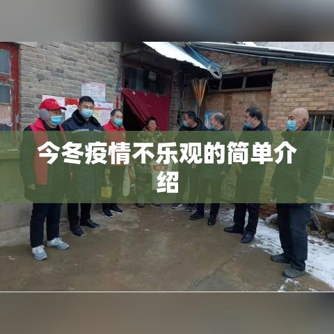 今冬疫情不乐观的简单介绍