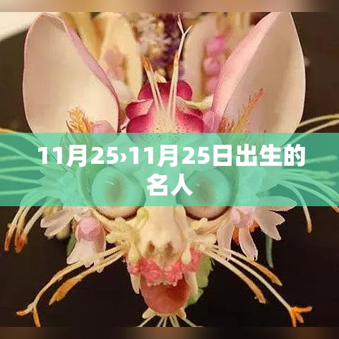 11月25›11月25日出生的名人 11月25›11月25日出生的名人