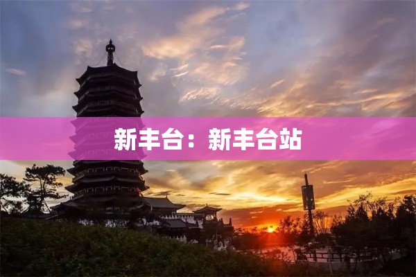新丰台:新丰台站 新丰台:新丰台站