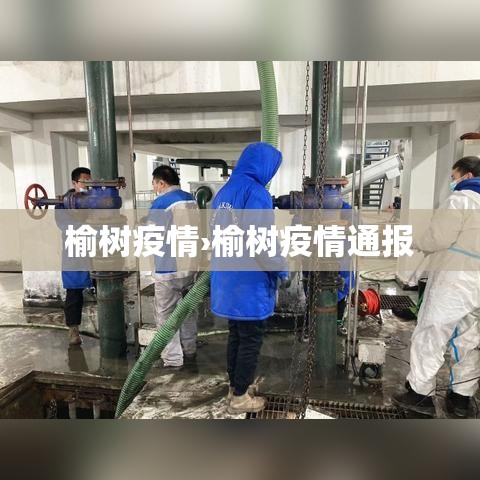榆树疫情›榆树疫情通报