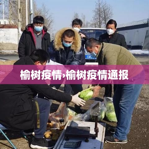 榆树疫情›榆树疫情通报