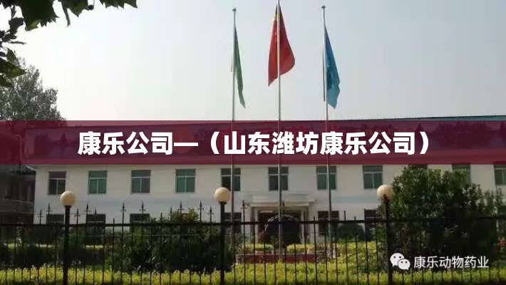 康乐公司—（山东潍坊康乐公司）
